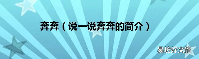 说一说奔奔的简介 奔奔