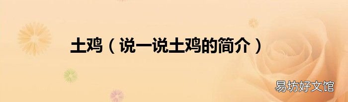 说一说土鸡的简介 土鸡
