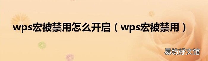 wps宏被禁用 wps宏被禁用怎么开启
