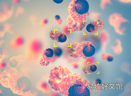 英国承诺数百万美元资助癌症检测人工智能的发展