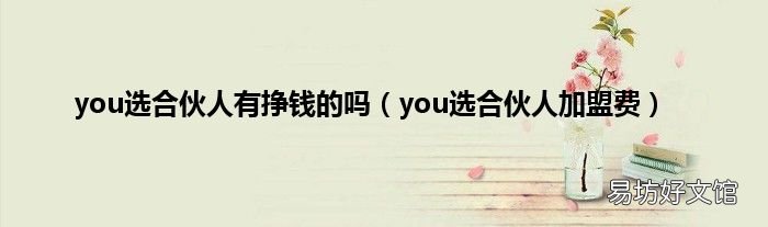 you选合伙人加盟费 you选合伙人有挣钱的吗