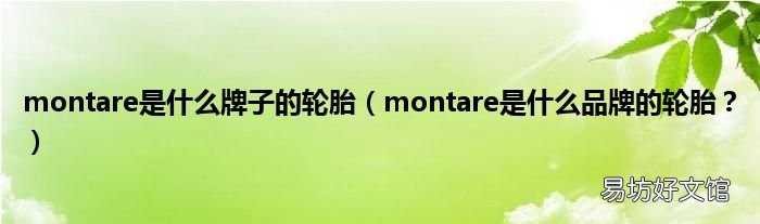 montare是什么品牌的轮胎？ montare是什么牌子的轮胎