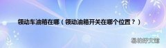 领动油箱开关在哪个位置？ 领动车油箱在哪