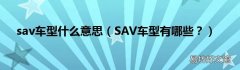 SAV车型有哪些？ sav车型什么意思