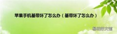 基带坏了怎么办 苹果手机基带坏了怎么办