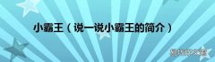 说一说小霸王的简介 小霸王