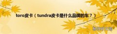 tundra皮卡是什么品牌的车？ toro皮卡
