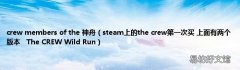 steam上的the crew第一次买 上面有两个版本The CREW Wild Run crew members of the 神舟