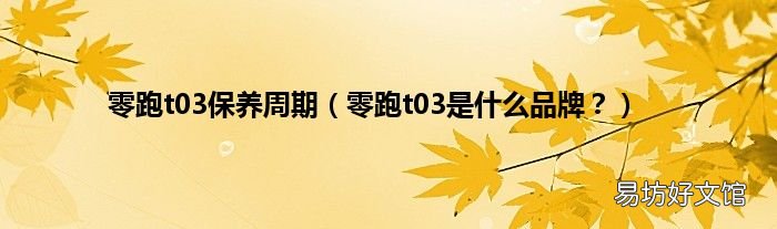 零跑t03是什么品牌? 零跑t03保养周期