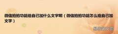 微信拍拍功能怎么给自己加文字 微信拍拍功能给自己加什么文字呢
