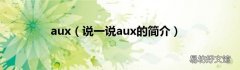 说一说aux的简介 aux