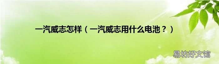 一汽威志用什么电池? 一汽威志怎样