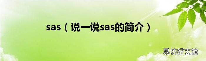 说一说sas的简介 sas