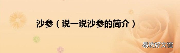 说一说沙参的简介 沙参