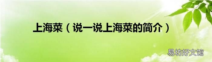 说一说上海菜的简介 上海菜