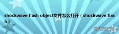 shockwave flash shockwave flash object文件怎么打开
