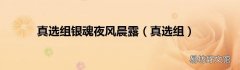 真选组 真选组银魂夜风晨露