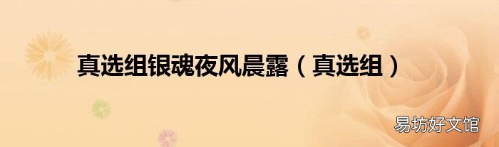 真选组 真选组银魂夜风晨露