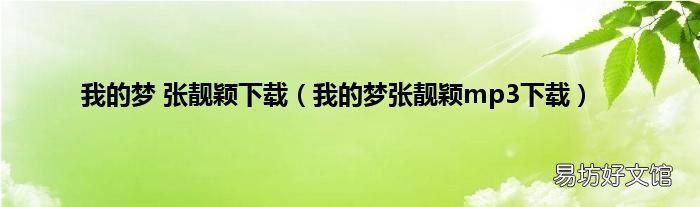 我的梦张靓颖mp3下载 我的梦 张靓颖下载