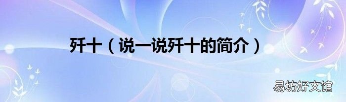 说一说歼十的简介 歼十