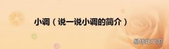 说一说小调的简介 小调