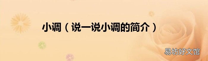 说一说小调的简介 小调