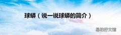 说一说球蟒的简介 球蟒