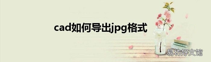 cad如何导出jpg格式