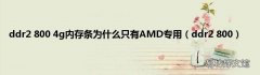 ddr2 800 ddr2 800 4g内存条为什么只有AMD专用