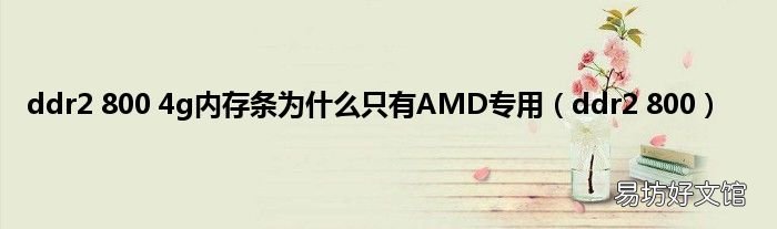 ddr2 800 ddr2 800 4g内存条为什么只有AMD专用