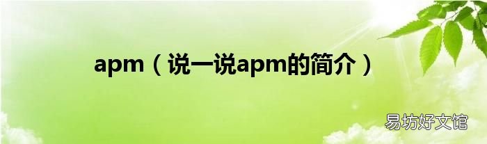 说一说apm的简介 apm