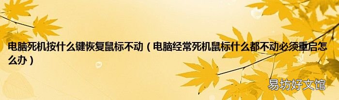 电脑经常死机鼠标什么都不动必须重启怎么办 电脑死机按什么键恢复鼠标不动