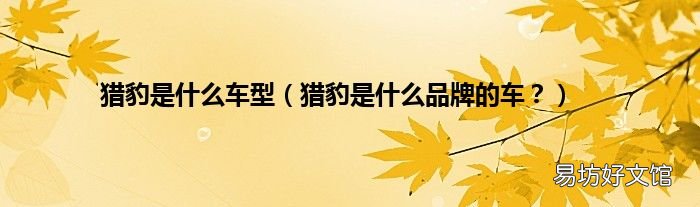 猎豹是什么品牌的车? 猎豹是什么车型