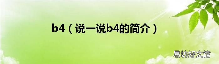 说一说b4的简介 b4