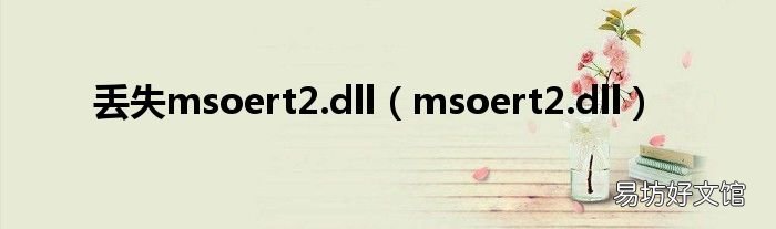 msoert2.dll 丢失msoert2.dll