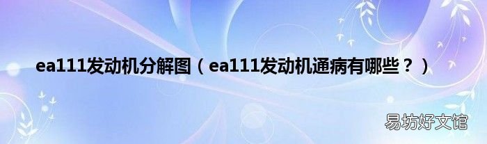 ea111发动机通病有哪些? ea111发动机分解图