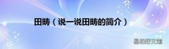 说一说田畴的简介 田畴