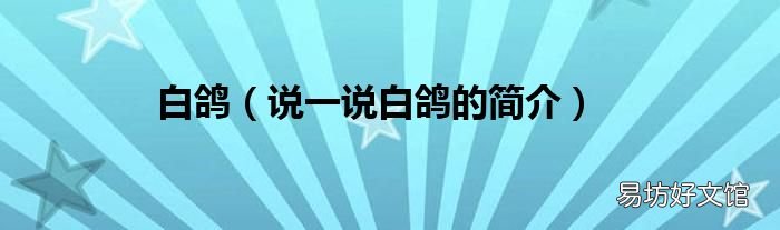 说一说白鸽的简介 白鸽