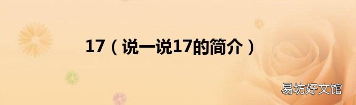 说一说17的简介 17