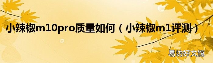 小辣椒m1评测 小辣椒m10pro质量如何