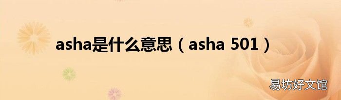 asha 501 asha是什么意思