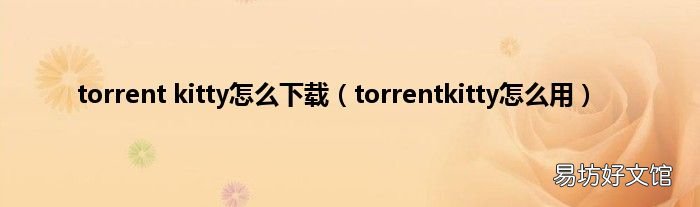 torrentkitty怎么用 torrent kitty怎么下载