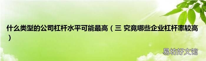 三 究竟哪些企业杠杆率较高 什么类型的公司杠杆水平可能最高