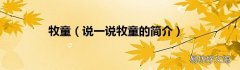说一说牧童的简介 牧童