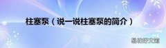 说一说柱塞泵的简介 柱塞泵