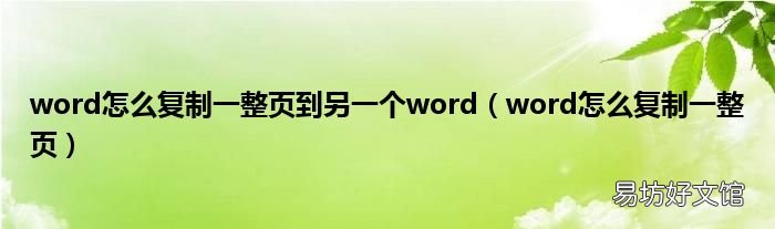 word怎么复制一整页 word怎么复制一整页到另一个word