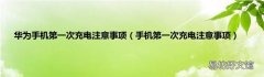 手机第一次充电注意事项 华为手机第一次充电注意事项