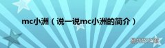 说一说mc小洲的简介 mc小洲