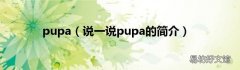 说一说pupa的简介 pupa