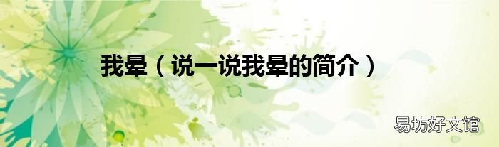 说一说我晕的简介 我晕